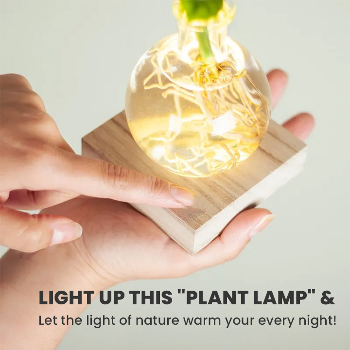 LIMETOW® LED Hydroponic Plant Vase – Where Living Greenery Meets Warm Ambient Light