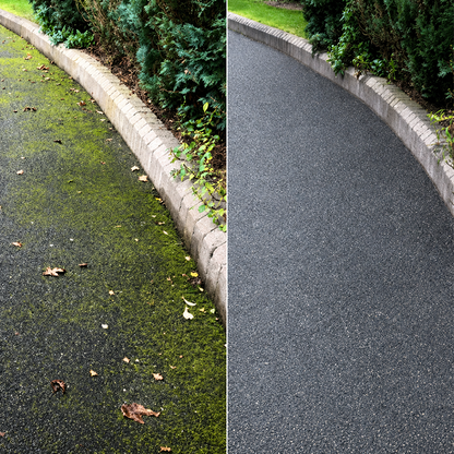 LIMETOW® Moss Remover