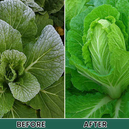 LIMETOW® Plant Antifreeze Powder – Powder that can be frost-protected with just a single sprinkle