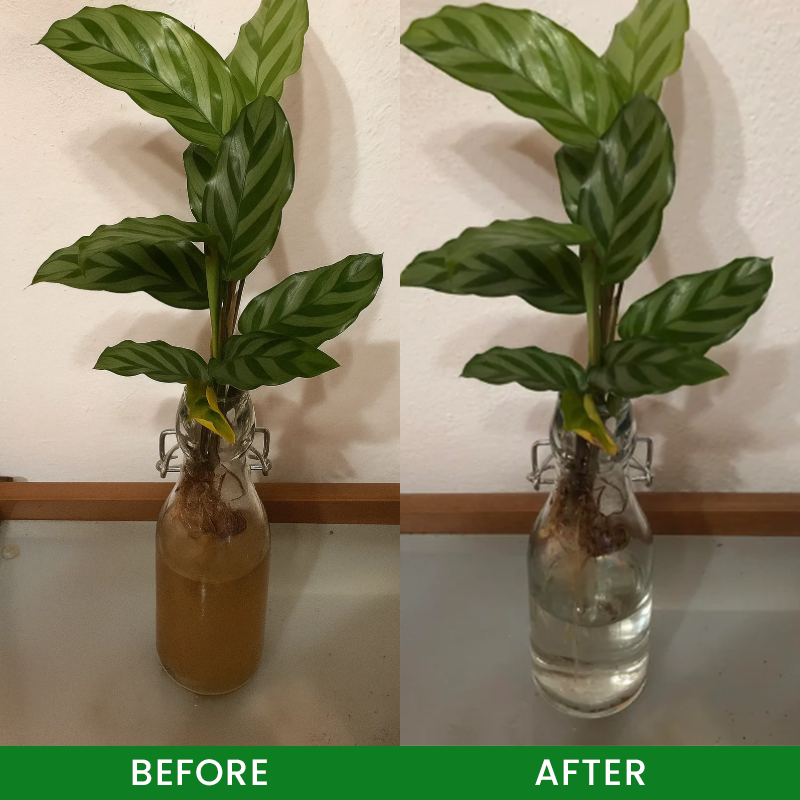 LIMETOW® Hydroponic Plant Water Purification Tablets