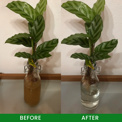 LIMETOW® Hydroponic Plant Water Purification Tablets