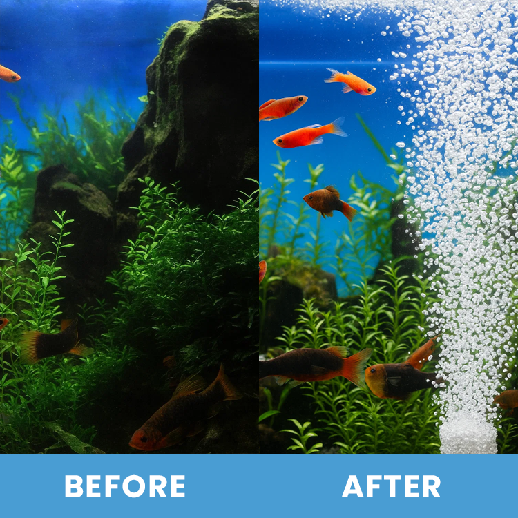 LIMETOW® Aquarium Oxygenating Tablets