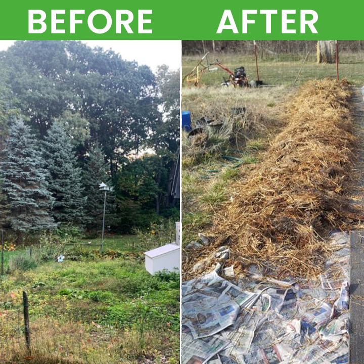 LIMETOW® Root Rot Powder