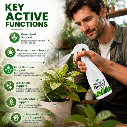 LIMETOW® Chlorophyll Green Plant Fertilizer