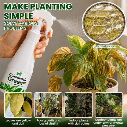 LIMETOW® Chlorophyll Green Plant Fertilizer