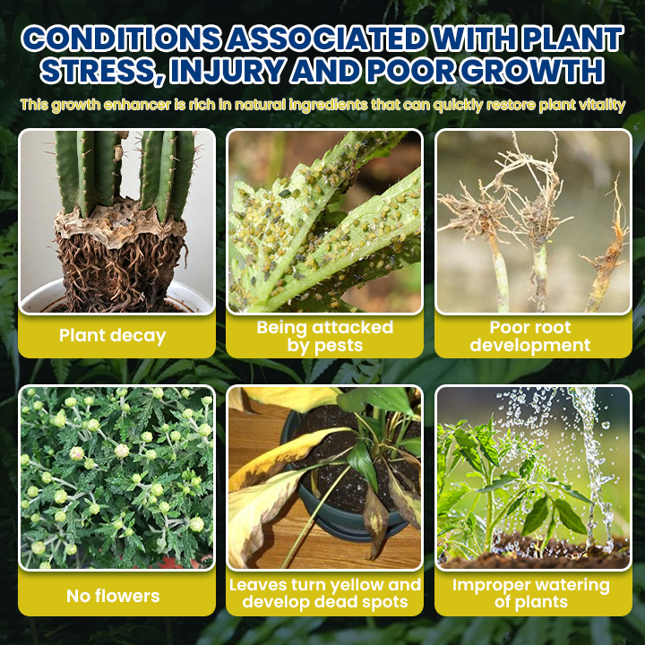LIMETOW® Plant Teranry Regenerant
