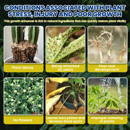 LIMETOW® Plant Teranry Regenerant
