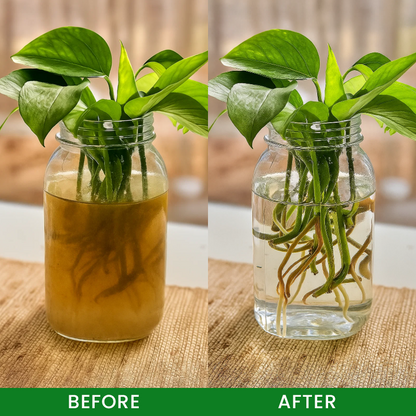 LIMETOW® Hydroponic Plant Water Purification Tablets