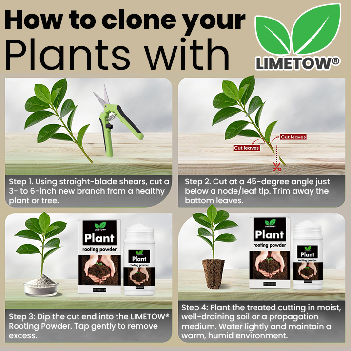 LIMETOW® Plant Rooting Powder