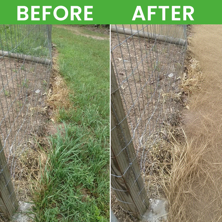 LIMETOW® Root Rot Powder