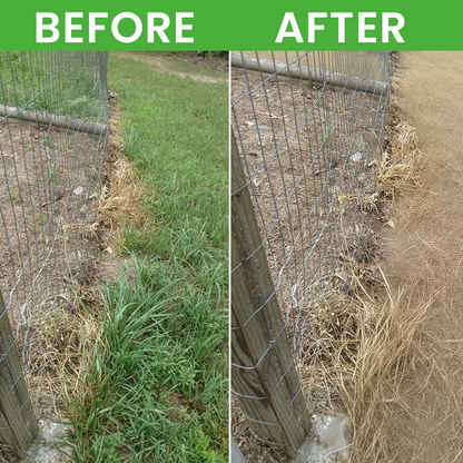 LIMETOW® Root Rot Powder