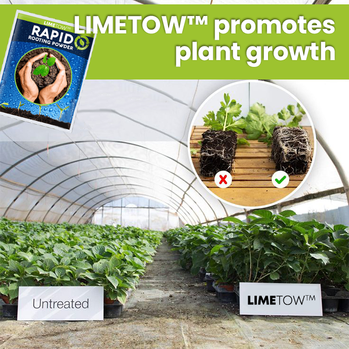 LIMETOW™ Rapid Rooting Powder