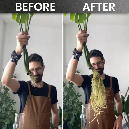 LIMETOW® Plant Rooting Powder