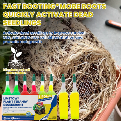 LIMETOW® Plant Teranry Regenerant