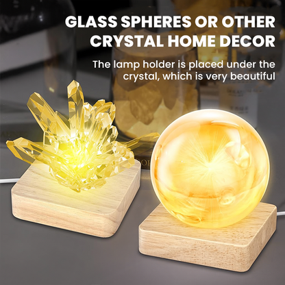 LIMETOW® LED Hydroponic Plant Vase – Where Living Greenery Meets Warm Ambient Light