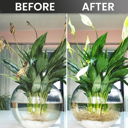 LIMETOW® Plant Rooting Powder