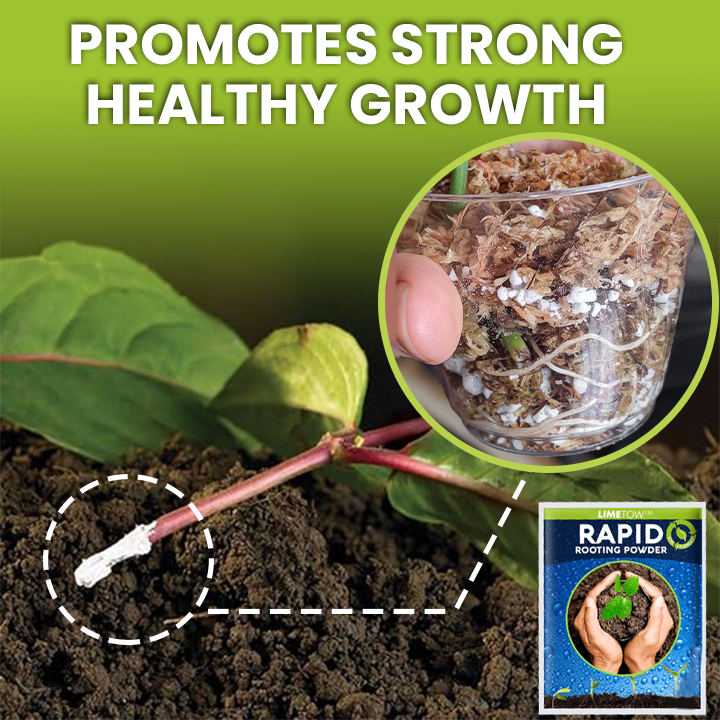 LIMETOW™ Rapid Rooting Powder