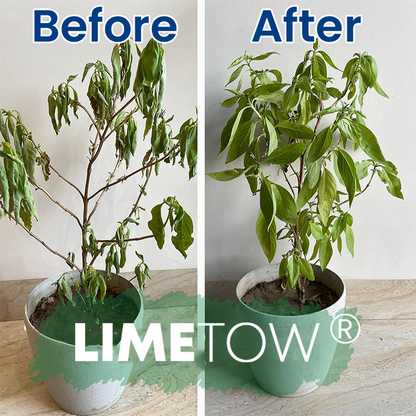 LIMETOW® Plant Teranry Regenerant