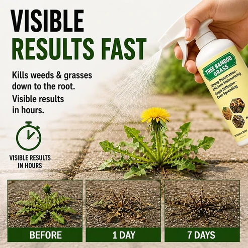 🔥2026 SALE - Fast-Acting Natural Weed & Grass Killer Spray (Big Bottle Set)