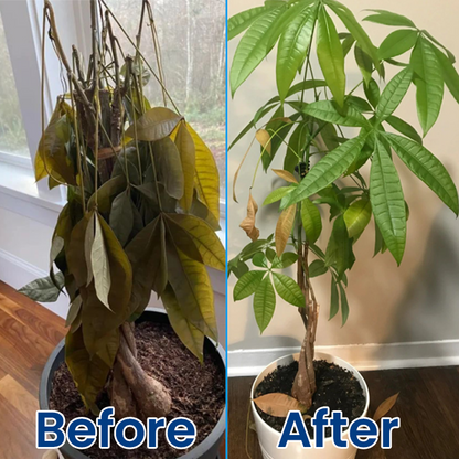 LIMETOW® Plant Teranry Regenerant