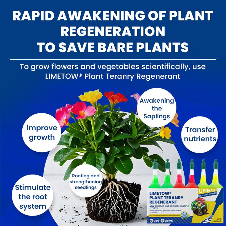 LIMETOW® Plant Teranry Regenerant