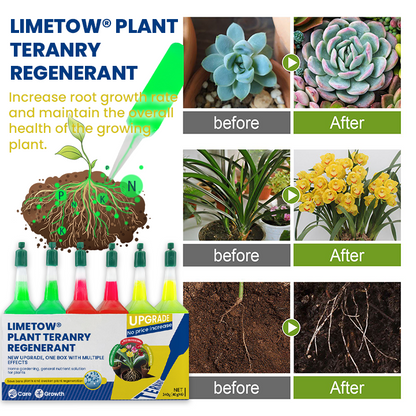 LIMETOW® Plant Teranry Regenerant