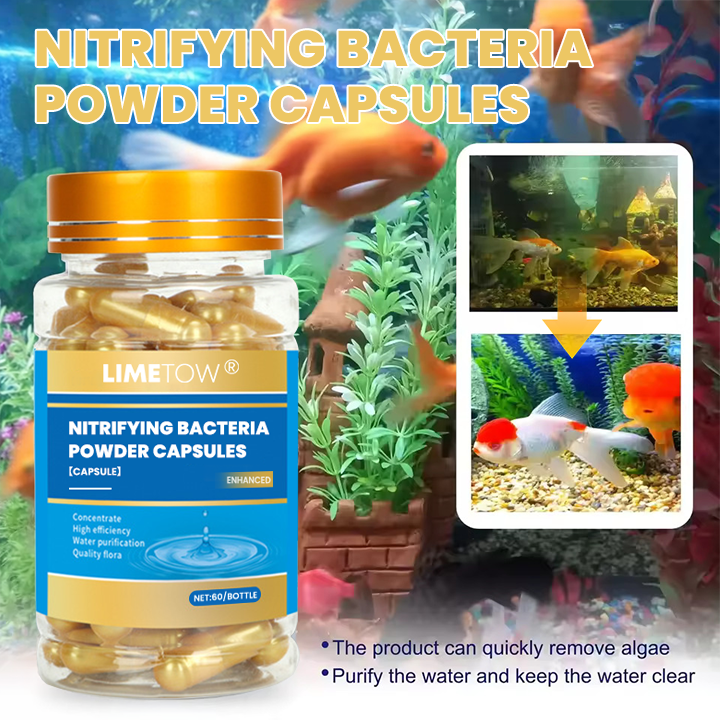LIMETOW® Nitrifying Bacteria Powder Capsules – Eibve