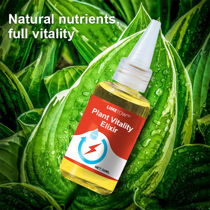 LIMETOW™ Phytovitamin Solution