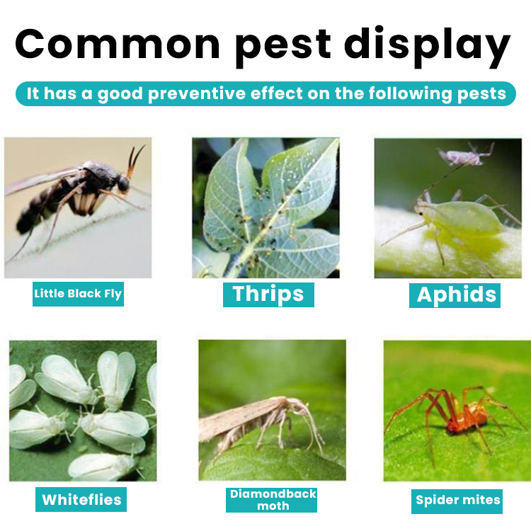 LIMETOW™ Plant Insect Repellent Tablet