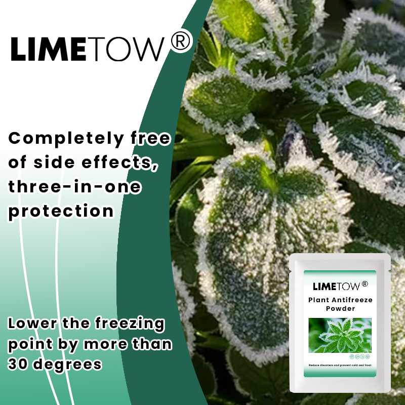 LIMETOW® Plant Antifreeze Powder – Powder that can be frost-protected with just a single sprinkle