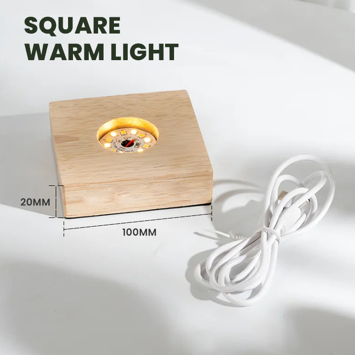 LIMETOW® LED Hydroponic Plant Vase – Where Living Greenery Meets Warm Ambient Light