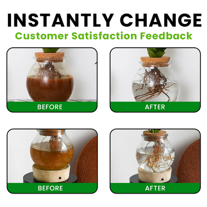 LIMETOW® Hydroponic Plant Water Purification Tablets