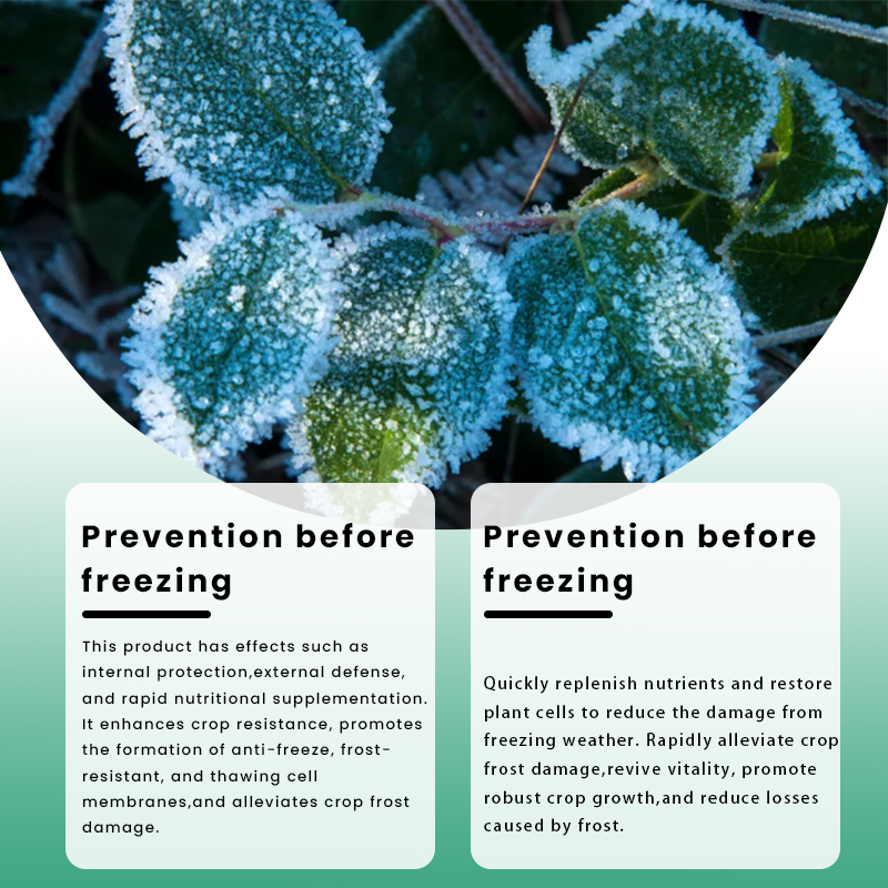 LIMETOW® Plant Antifreeze Powder – Powder that can be frost-protected with just a single sprinkle