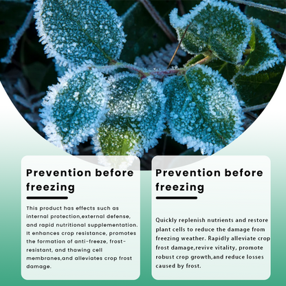 LIMETOW® Plant Antifreeze Powder – Powder that can be frost-protected with just a single sprinkle