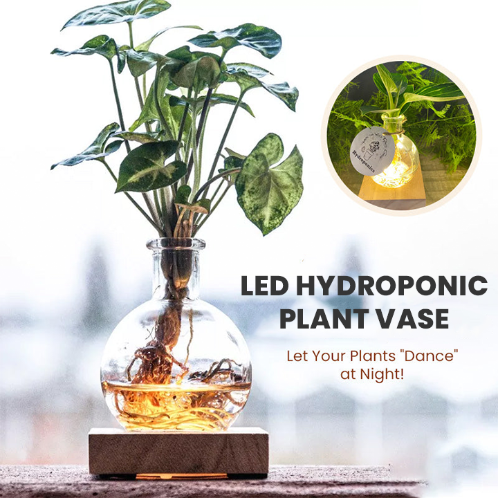LIMETOW® LED Hydroponic Plant Vase – Where Living Greenery Meets Warm Ambient Light