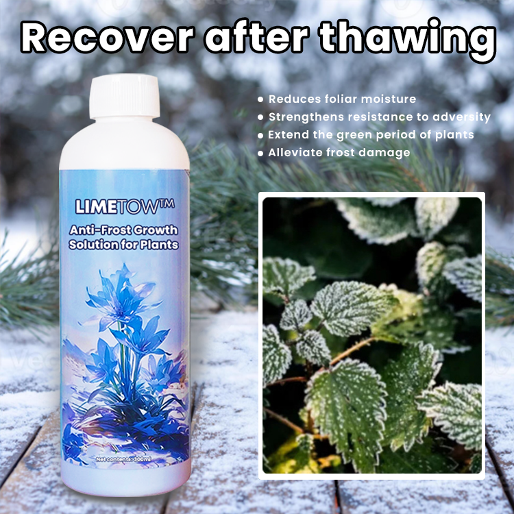 LIMETOW™ Anti-Frost Growth Solution for Plants