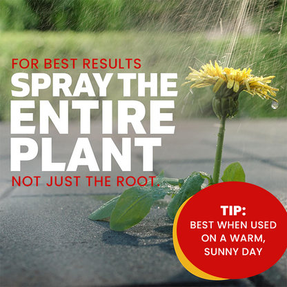 LIMETOW® Weed Killer Spray