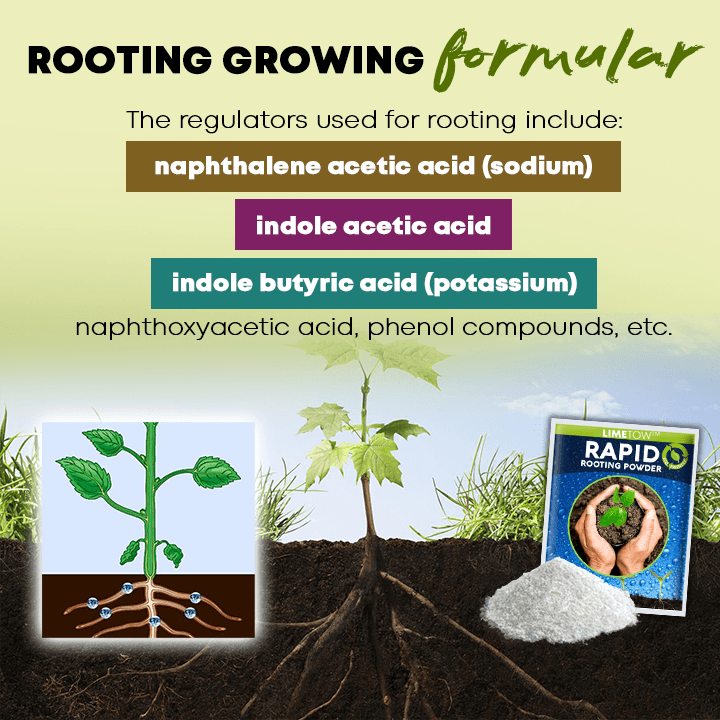 LIMETOW™ Rapid Rooting Powder