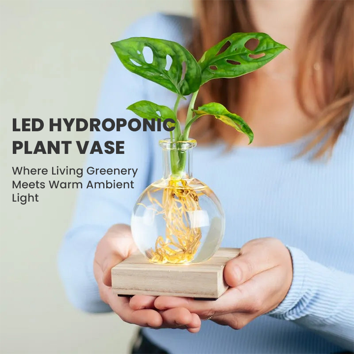 LIMETOW® LED Hydroponic Plant Vase – Where Living Greenery Meets Warm Ambient Light