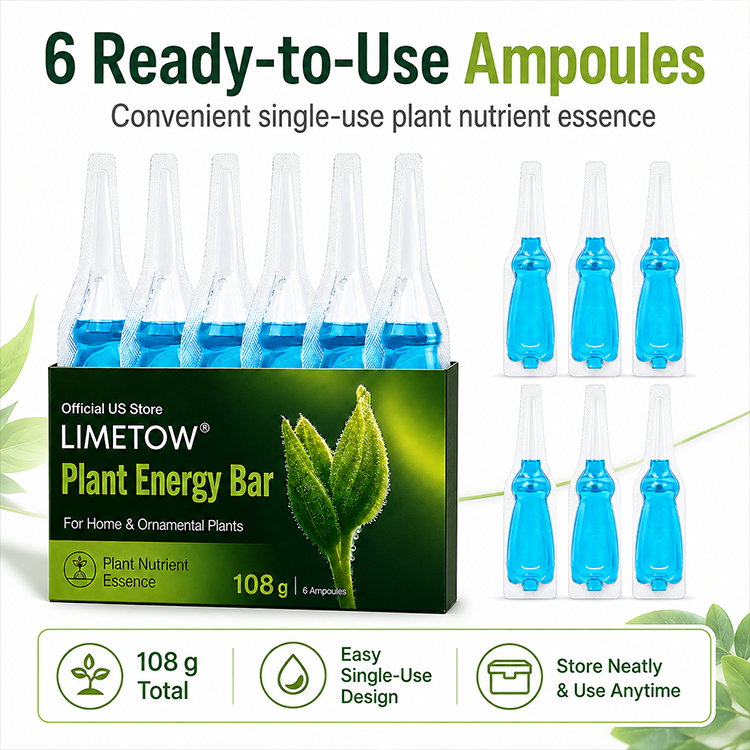 Official US Store  LIMETOW® Plant Energy Bar