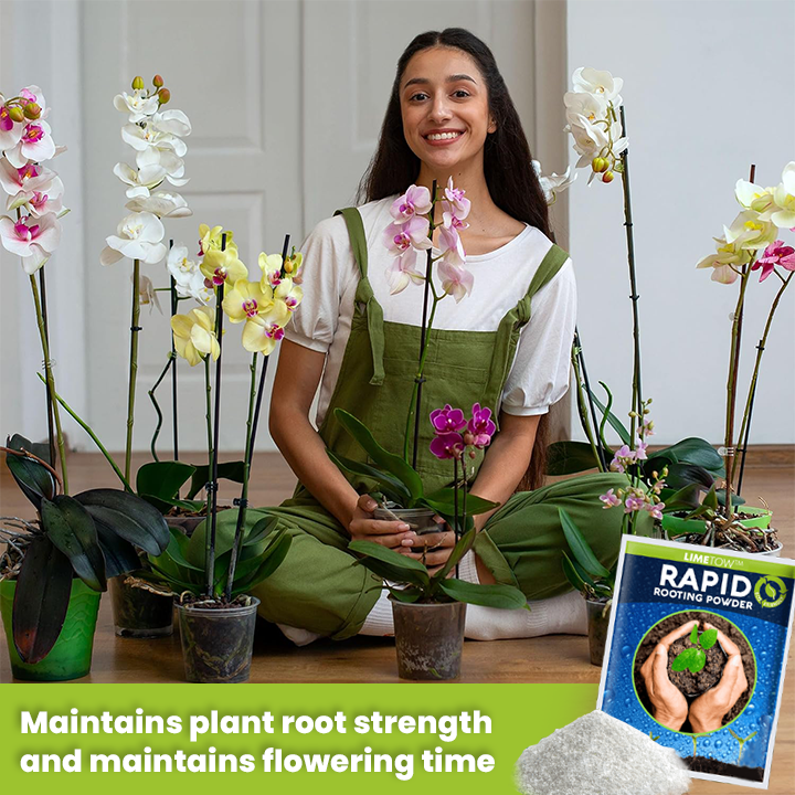 LIMETOW™ Rapid Rooting Powder