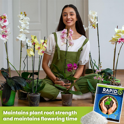 LIMETOW™ Rapid Rooting Powder