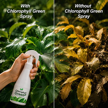 LIMETOW® Chlorophyll Green Plant Fertilizer