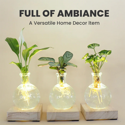 LIMETOW® LED Hydroponic Plant Vase – Where Living Greenery Meets Warm Ambient Light