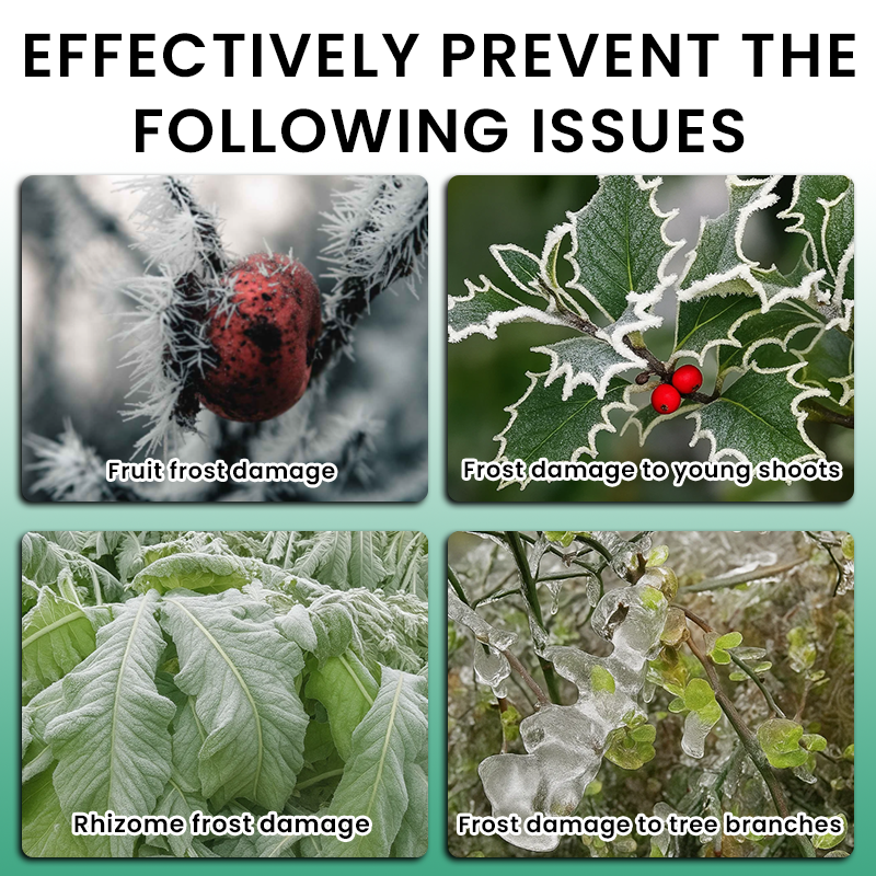 LIMETOW® Plant Antifreeze Powder – Powder that can be frost-protected with just a single sprinkle
