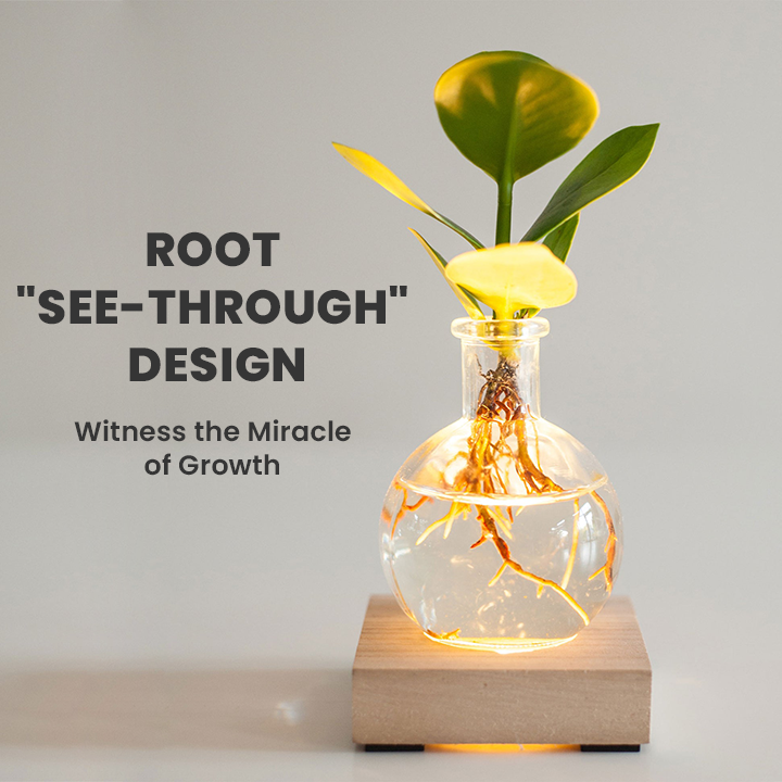 LIMETOW® LED Hydroponic Plant Vase – Where Living Greenery Meets Warm Ambient Light