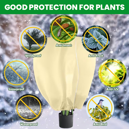 LIMETOW® Plant Cold Shield – The Ultimate Winter Survival System for Your Plants