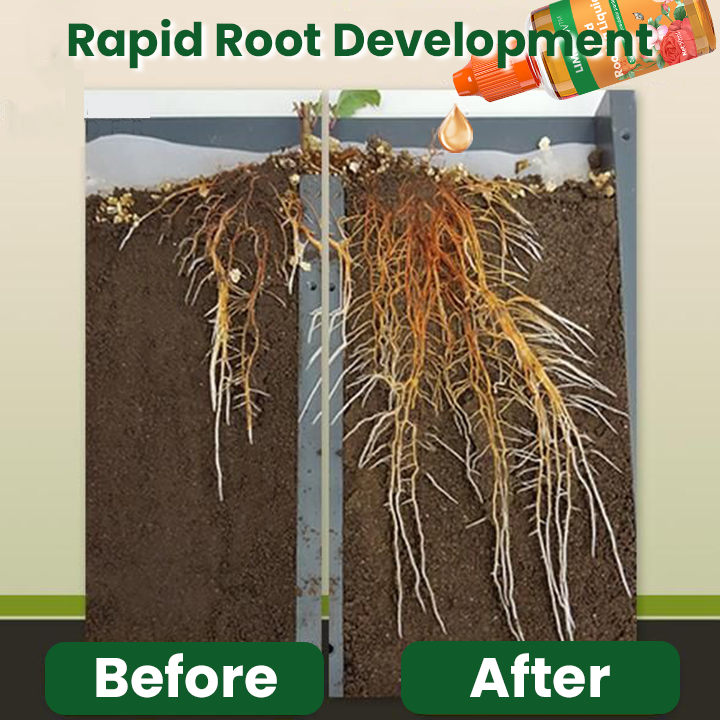 LIMETOW™ Rapid Rooting Liquid