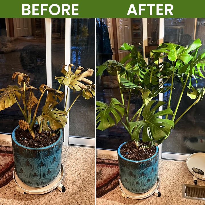 LIMETOW® Plant Revival Liquid