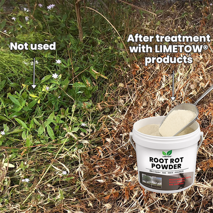 LIMETOW® Root Rot Powder